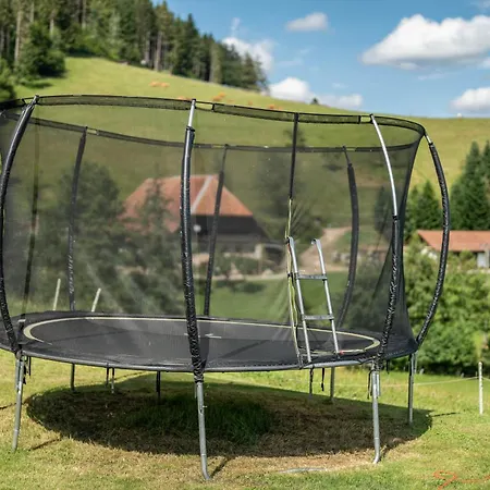 Apartment Oberhubhof *